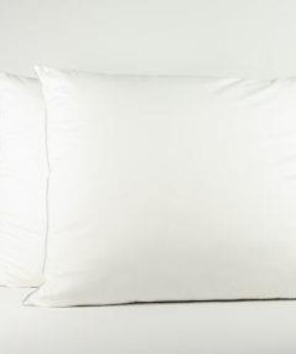 Bedtime - Emperior Silk Hoofdkussen Cantate - Zijde